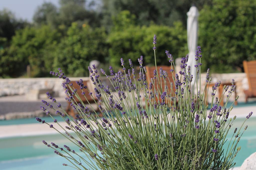 Agriturismo Masseria Saittole Carpignano Salentino Bagian luar foto